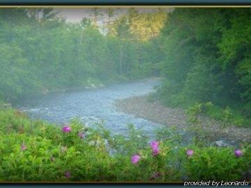 Cannon Mountain View Motel Franconia Bagian luar foto