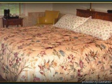 Cannon Mountain View Motel Franconia Bagian luar foto